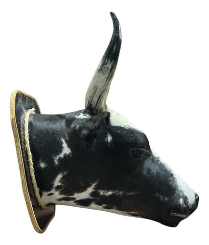 Decoração De Parede Cabeça De Boi Nelore Country Empalhada